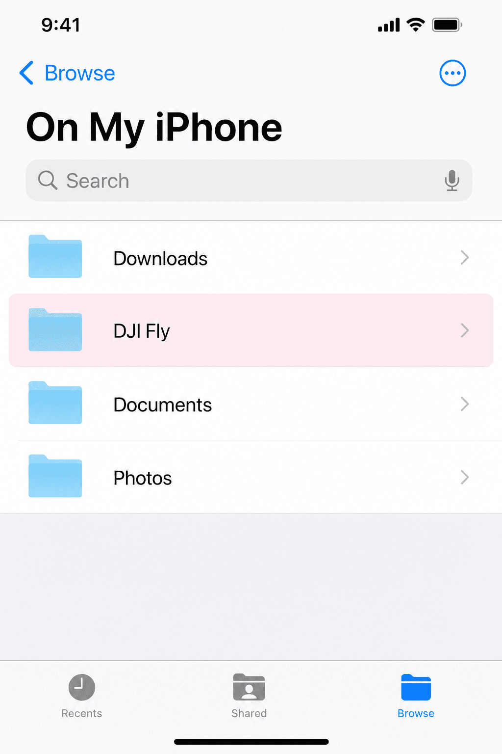 iPhone Files — On My iPhone with DJI Fly folder